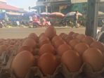 telur-ayam_20180725_085207.jpg