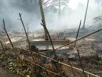 update-kondisi-terkini-kebakaran-lahan-di-sungai-cemara-tanjab-timur-yang-kepung-pemukiman-warga.jpg