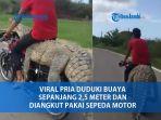 video-seorang-pengendara-sepeda-motor-mengangkut-seekor-buaya.jpg