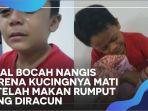 viral-kisah-bocah-kehilangan-kucingnya-yang-mati-setelah-makan-rumput-yang-diracun.jpg