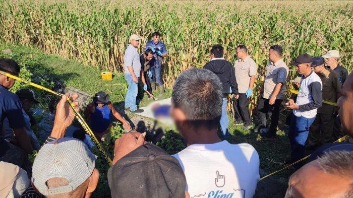 Jasad Pria Ditemukan di Parit Persawahan, Diduga Korban Kecelakaan