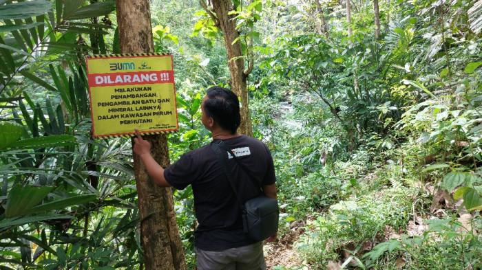 Pasca Penambangan Ilegal Tewas di Kebumen, Perhutani Bakal Perketat Pengawasan