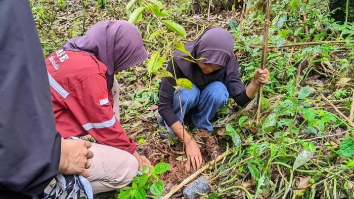 20251023_penanaman bibit di hutan Patarangan_3