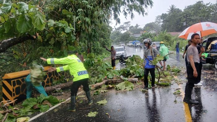 Cuaca Ekstrem Melanda Cilacap, Jalan Tertutup Pohon Tumbang dan Rumah Warga Rusak Berat