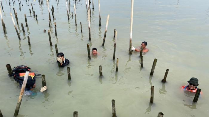 Panen Raya Kerang Hijau Saat Banjir di Semarang: Nelayan Tambakrejo Tanam Harapan dari Rumpon Bambu
