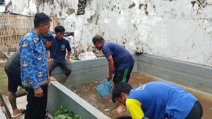 Bangun Ketahanan Pangan di Balik Jeruji Besi, Warga Binaan Lapas Brebes Panen 100 Kg Ikan Lele