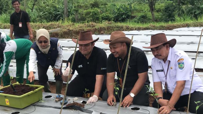 Wabup Jepara Luncurkan Program J-Farming, Gaet Generasi Muda Tekuni Pertanian Cabai