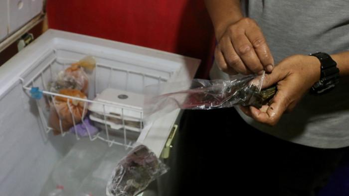 20251030_DIMASUKKAN FREEZER