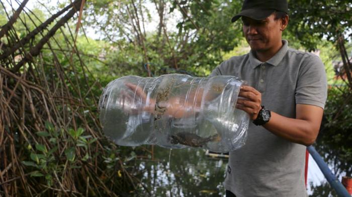 20251031 _ Anggota Mamaku di Kampung Kepiting Kutawaru Cilacap