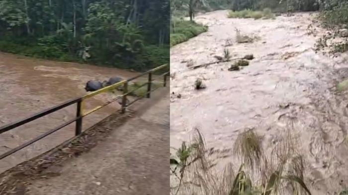 DERAS - Kondisi arus sungai Genting Kendal deras saat kejadian yang menghanyutkan enam mahasiswa UIN Walisongo Semarang, Selasa (4/11/2025)