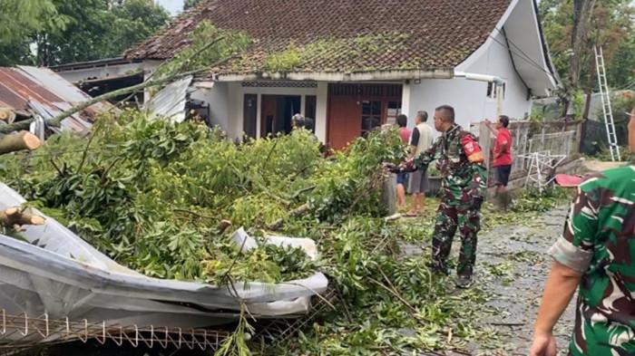 AMBRUK - Green house berisi tanaman anggrek ambruk dan halaman rumah milik Beni di Jalan Arjuna, Kelurahan Dukuh, Salatiga, tampak porak-poranda usai diterpa hujan lebat dan angin kencang, Selasa (4/11/2025). Peristiwa tersebut merupakan bagian dari bencana cuaca ekstrem yang menyebabkan sekitar 20 pohon tumbang di beberapa wilayah Kota Salatiga.