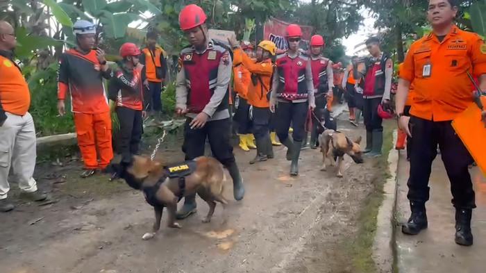 20251115_Pencarian korban longsor pakai anjing K9