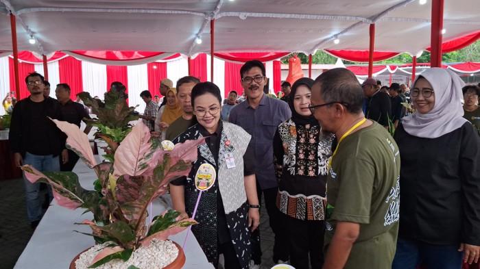 KONTES - Wali Kota Semarang, Agustina Wilujeng Pramestuti meninjau kontes tanaman di Eks Wonderia, jalan Sriwijaya, Tegalsari, Candisari, Jumat–Minggu, (16/13/2025).