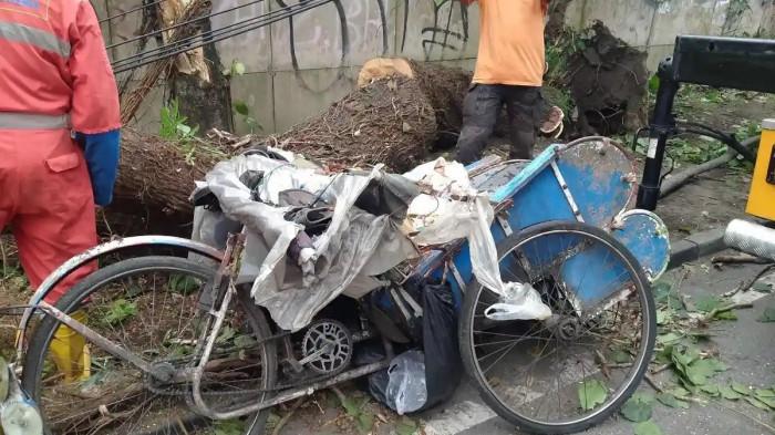 20251121_evakuasi dua orang tertimpa pohon