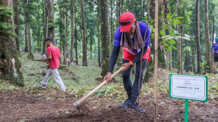 20251123_sekda trailrun