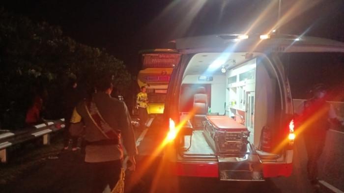 EVAKUASI - Petugas Tol mengevakuasi korban tabrakan antara Bus Pariwisata dengan truk kontainer di ruas Jalan Tol Pejagan Brebes - Pemalang.