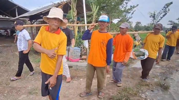 20260113_Kuda lumping usir tikus di Brebes_2