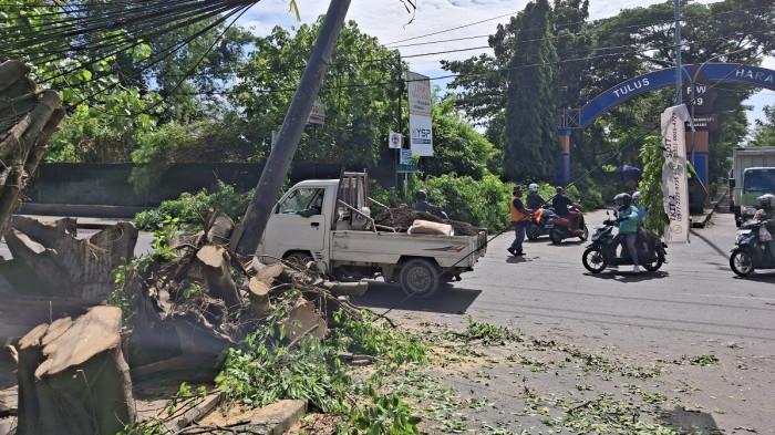 POHON TUMBANG - Pohon Tumbang di kawasan jalan Fatmawati Semarang mulai dievakuasi dan dibersihkan, Kamis (5/3/2026). Pohon tumbang tersebut menjadi salah satu titik dampak dari kejadian angin puting beliung pada Rabu malam.