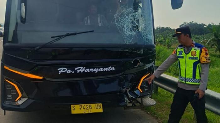 KECELAKAAN TOL BATANG - Polisi memperlihatkan kondisi Bus Haryanto seusai mengalami kecelakaan di Jalan Tol KM 361+600 jalur A, Desa Gondang, Kecamatan Subah, Kabupaten Batang, sekira pukul 15.45, Minggu (15/3/2026). Bus tersebut menabrak lima mobil.