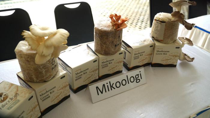 Produk inovasi Mikoo Mushroom Grow Kit yang dipamerkan dalam Innovation Corner Experience pada kegiatan Media Gathering bersama insan pers.