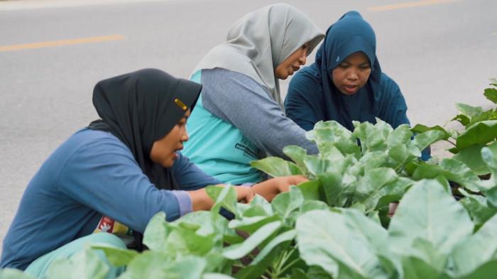 Kegiatan kelompok wanita Bumi Kartini mulai dari menanam berbagai buah dan sayur,