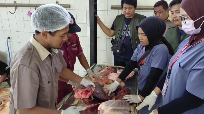 20260527_Petugas kesehatan hewan kurban dari DKPP Jepara temukan cacing_1
