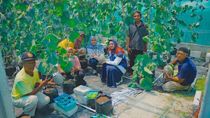 30012026 Panen perdana melon warga binaan Pertamina Kilang Cilacap