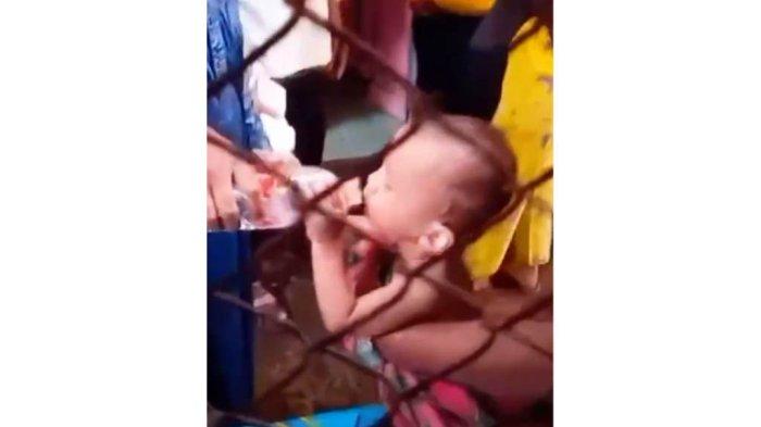 Balita Peluk Mayat Ibunya Selama 3 Hari di Kamar Kos, Tak Sadar Ibu Telah Membusuk