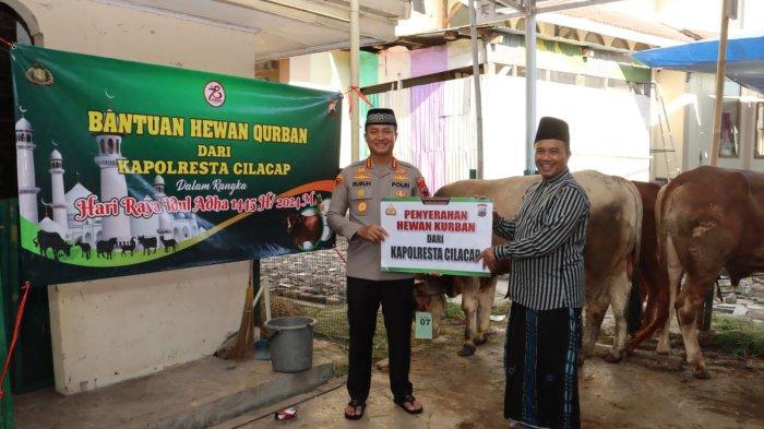 Kapolresta Cilacap Serahkan Sapi Kurban Ke Masjid Agung Daarussalaam