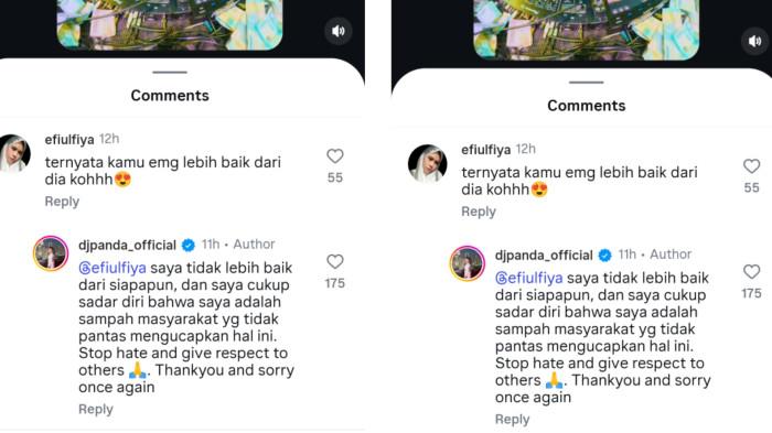 Komentar DJ Panda soal putusnya hubungan Erika Carlina dengan Bravy