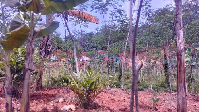 Waduh! Tambang Galian C Ilegal di Batang Bermunculan Lagi, Tak Takut Polda Jateng?