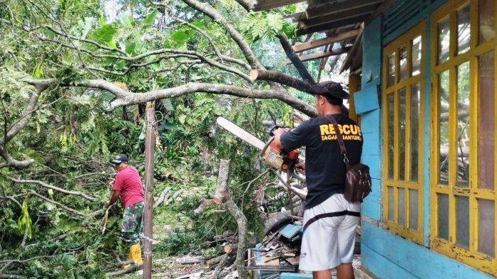 Dua Hari Angin Kencang Melanda Banyumas: 10 Rumah Rusak dan 1 Masjid Tertimpa Pohon