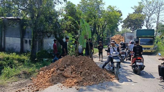 Sejumlah warga menanam pohon pisang di ruas jalan Provinsi Randublatung - Cepu di Kabupaten Blora, Jawa Tengah, Minggu (31/5/2026)()
