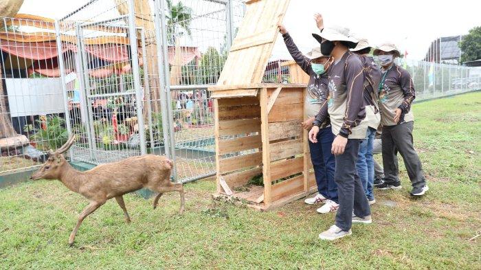 Simak Kontribusi Kilang Cilacap dalam Momentum Hari Keanekaragaman Hayati Sedunia