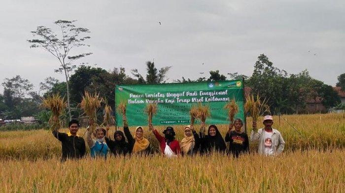UNSOED Miliki Varietas Unggul Padi Fungsional