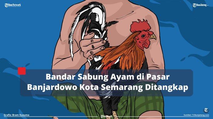 bandar taruhan sabung ayam 2026