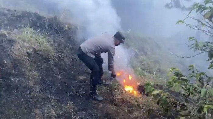 BREAKING NEWS: Kebakaran Melanda Lereng Gunung Merbabu di Getasan, Hutan Pinus dan Tanaman Hangus