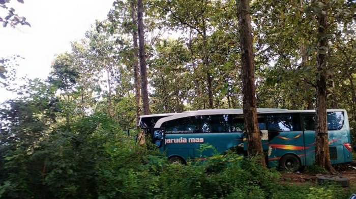 Sebelum Garuda Mas, Ini Cerita-cerita Mistis Bus dan Truk yang Tersesat Misterius di Hutan Blora