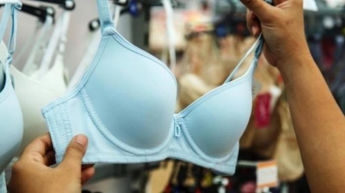 Irwansyah Tertangkap di Persawahan Sambil Memegang BH Nyaris Dihakimi Warga