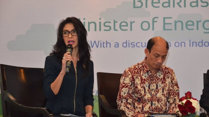 Sosok Indira Soediro, yang Digosipkan 'Dekat' Dengan Menteri Jonan, Pernah Batal Ikut Miss Universe