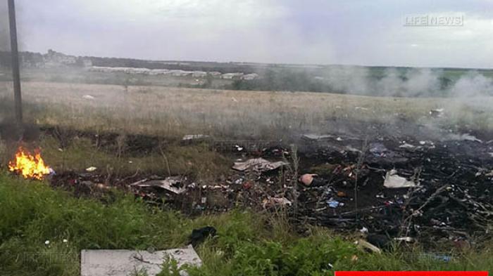 12 Penumpang Asal Indonesia di Pesawat #MH17, Ini Nama-namanya