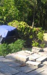 Hartoyo Susilo (35) warga Wonosobo tertipu orderan fiktif berupa pisang satu pikap