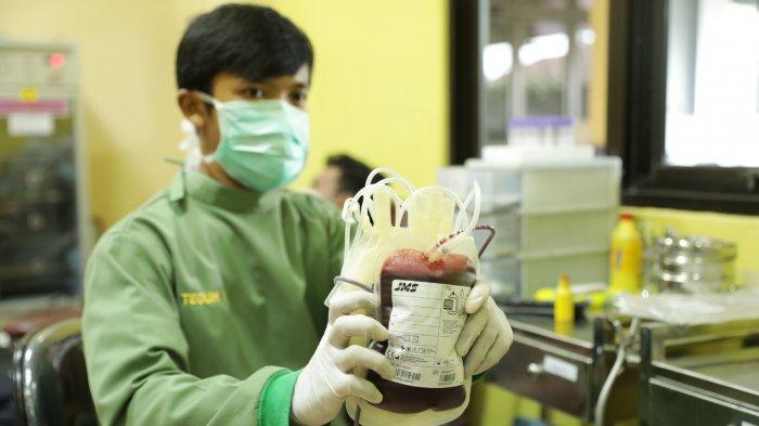 Liputan Khusus : Pasien Covid Kesulitan Cari Plasma Konvalesen, Inilah Penjelasannya