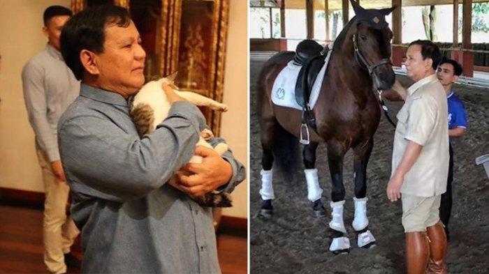 Cerita Sespri Soal Prabowo yang Bisa Berkomunikasi dengan Hewan, Taklukkan Semut hingga Nyamuk