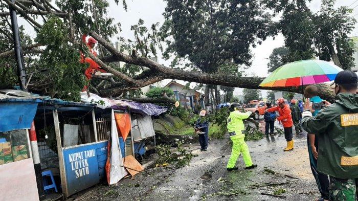 Ngerinya Puting Beliung Temanggung, Mudah Tumbangkan Pohon Besar, Atap Rumah Porakporanda