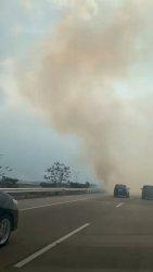 Asap Mengepul di Tol Semarang Batang Kilometer 397, Dipicu Terbakarnya Rumput Kering di Rumija