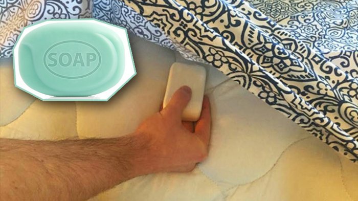 Letakkan Sabun Mandi Batangan di Bawah Sprei Tempat Tidur Anda! Inilah Sensasinya