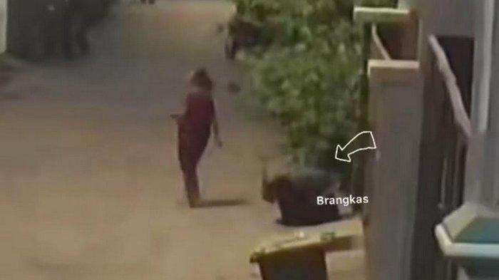 Kata Tetangga di Ciacap Tentang Sosok ART Dara Arafah yang Curi Brankas, Sekarang Berubah