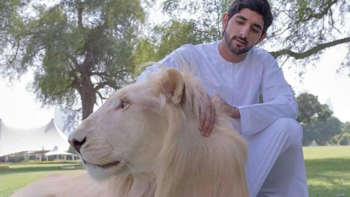 Memelihara Macan dan Singa di Rumah, Simbol Kekayaan di Dubai