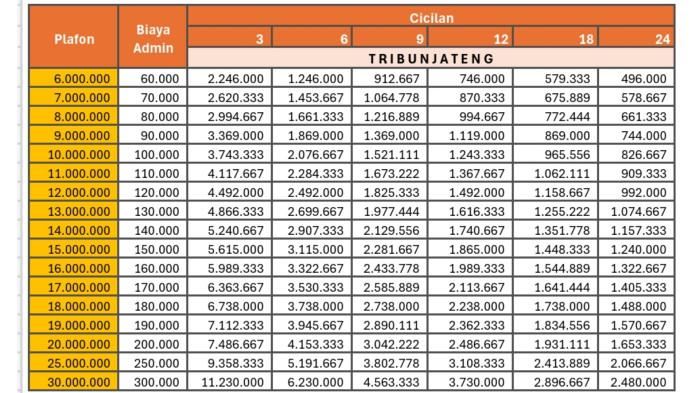 tabel Shopee pinjam Spinjam Rp 6 Juta hingga Rp 30 Juta
